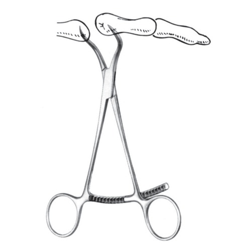 Bone Holding Forceps, 13.5cm,
