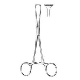 [RAA-110-15] Allis- Adair Tissue And Intestinal Forceps, 5x6 Teeth, 15.5cm